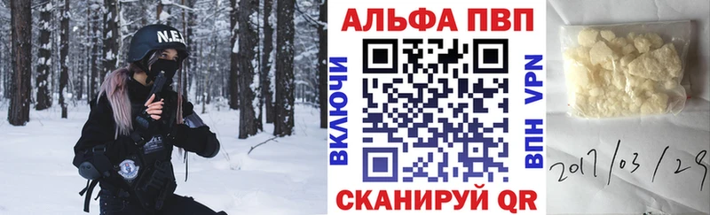 APVP СК Ардатов