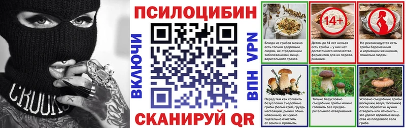 Галлюциногенные грибы Cubensis  продажа наркотиков  Ардатов 